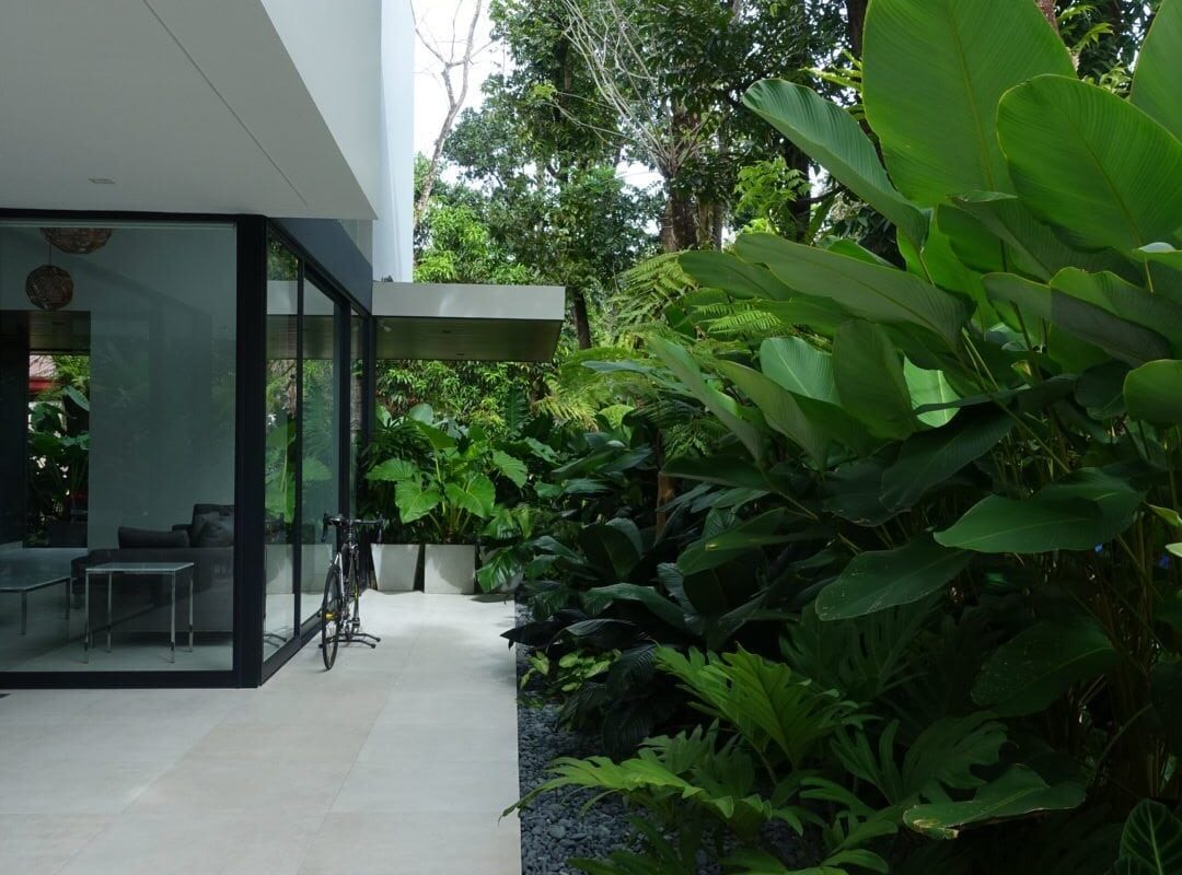 modernhouse