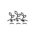 3533 - Iamf E - black and white V1B_ Established roots_ Established roots
